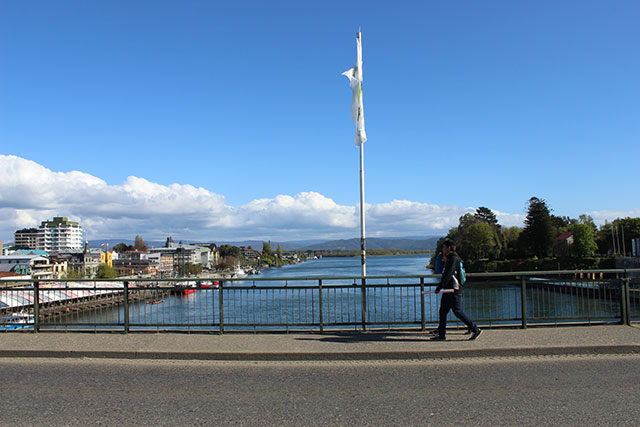 Valdivia, 2014