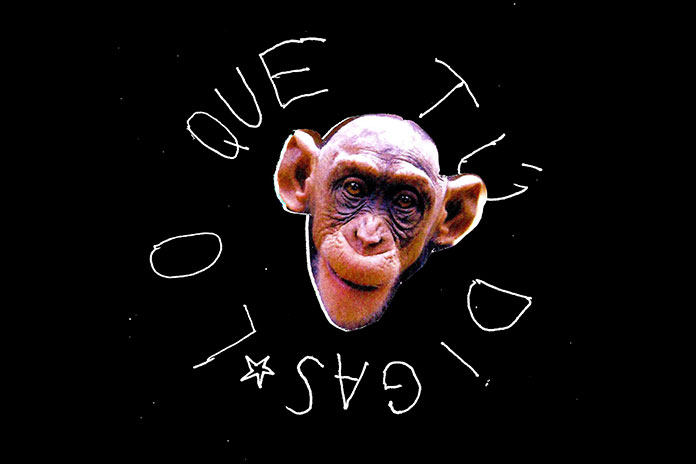 Un mono que razona o desvaría conceptos filosóficos en «Lo que tú digas» de Manuel Torres